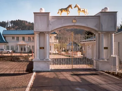 Kunstschmiede Appenzell AG - Einfahrtstor aus Schmiedeeisen individuell gefertigt